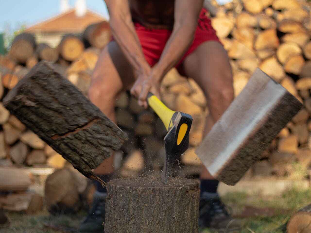 The Steps Involved in Our Tree Care Process in Galesville, MD